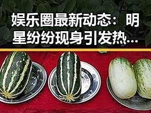 娱乐圈最新动态：明星纷纷现身引发热议，背后隐藏什么秘密？
