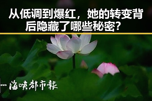 从低调到爆红，她的转变背后隐藏了哪些秘密？