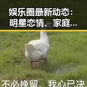 娱乐圈最新动态：明星恋情、家庭压力与丑闻持续发酵